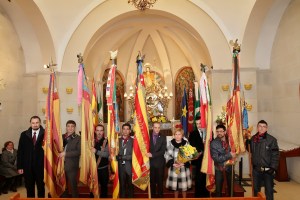 Cabildo 2011: Banderas